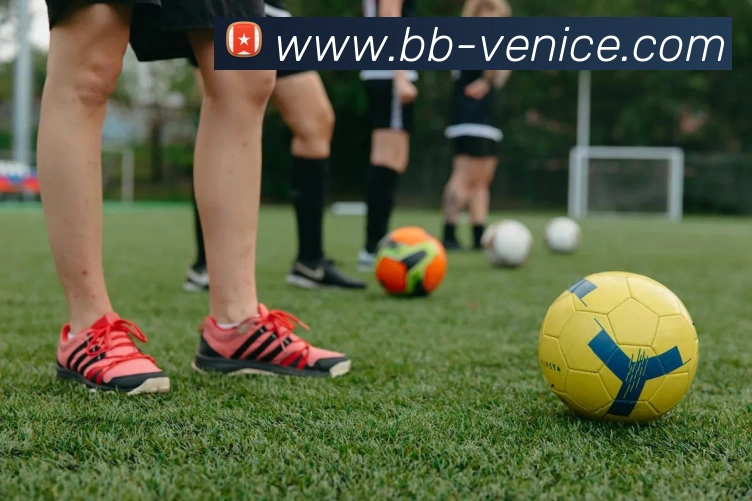 威尼斯人娱乐官网APP 封面图